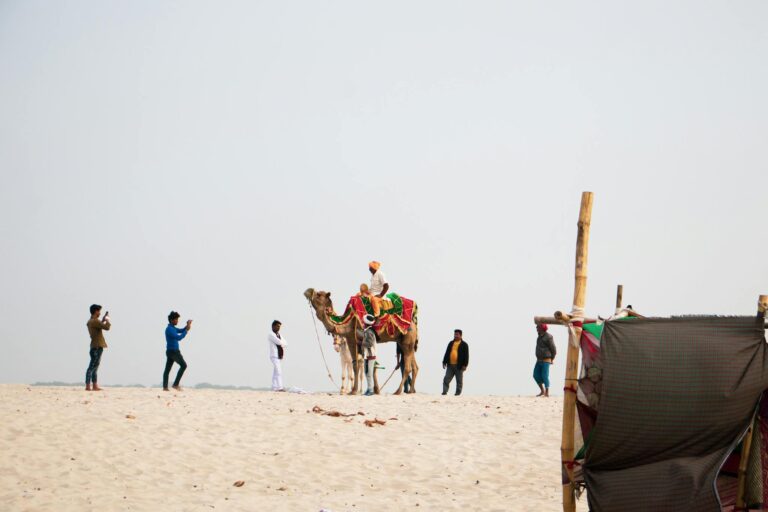 Group of people enjoying a colorful camel ride in a sandy desert, capturing memorable moments.
