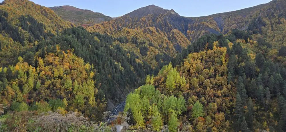 Autumn forested valley on the drive back down from Svaneti to Kutaisi