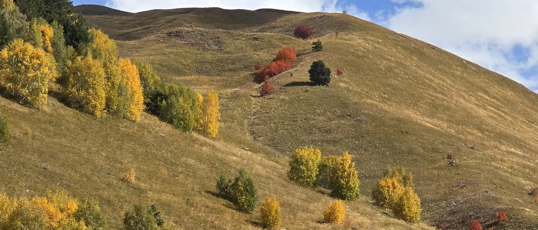 Autumn pasture and a small chapel on a hillside in Upper Svaneti, Georgia